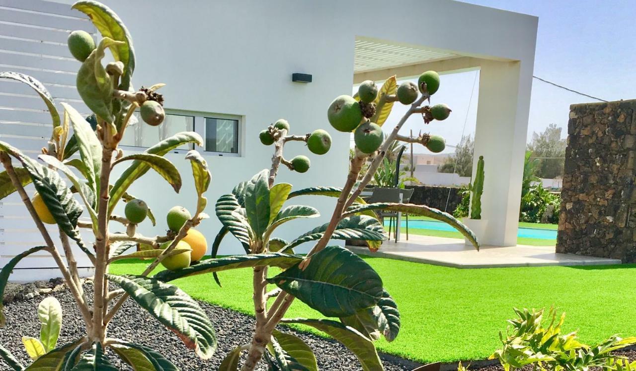 Turquesa 1 Fuerteventura Villa Lajares Eksteriør billede